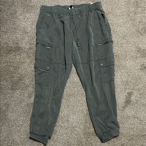 Banana Republic Green Cargo Joggers